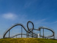 Tiger and Turtle